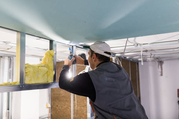 Best Insulation Inspection Services  in Sleepy Hollow, CA